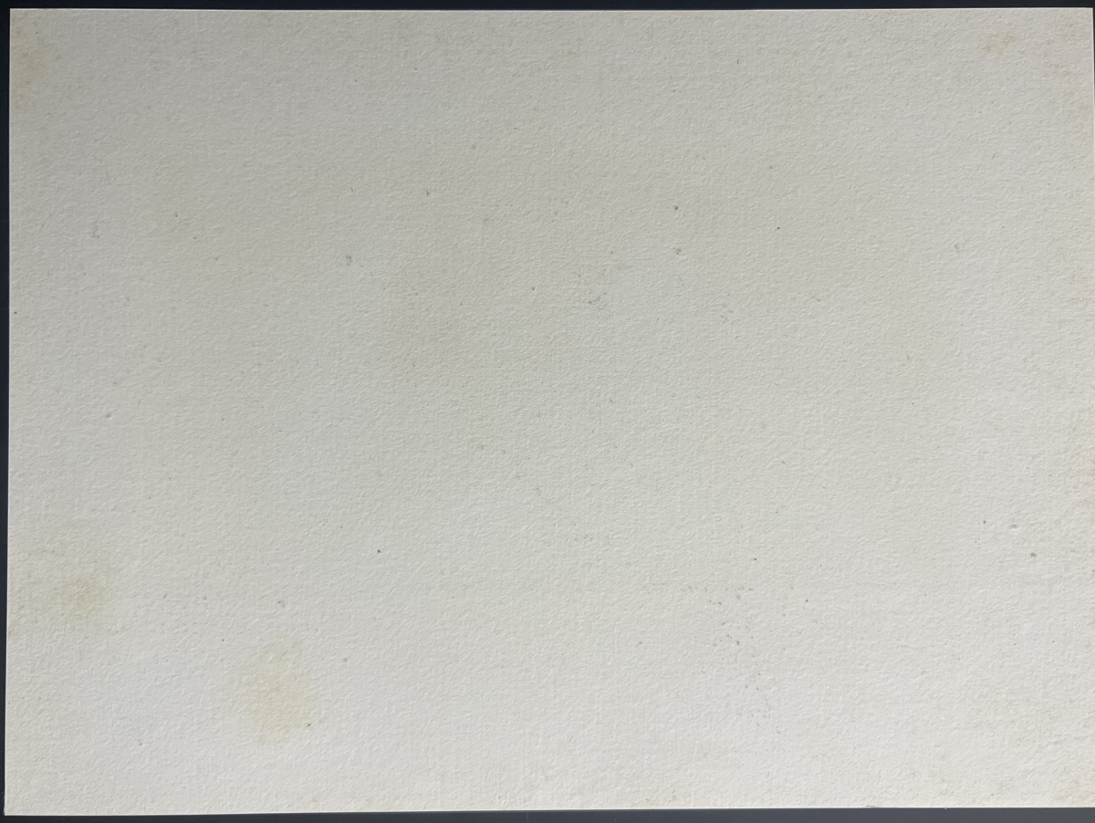 arlempdes_le_chateau_gravure_de_rouargue_haute-loire_vers_1840_france