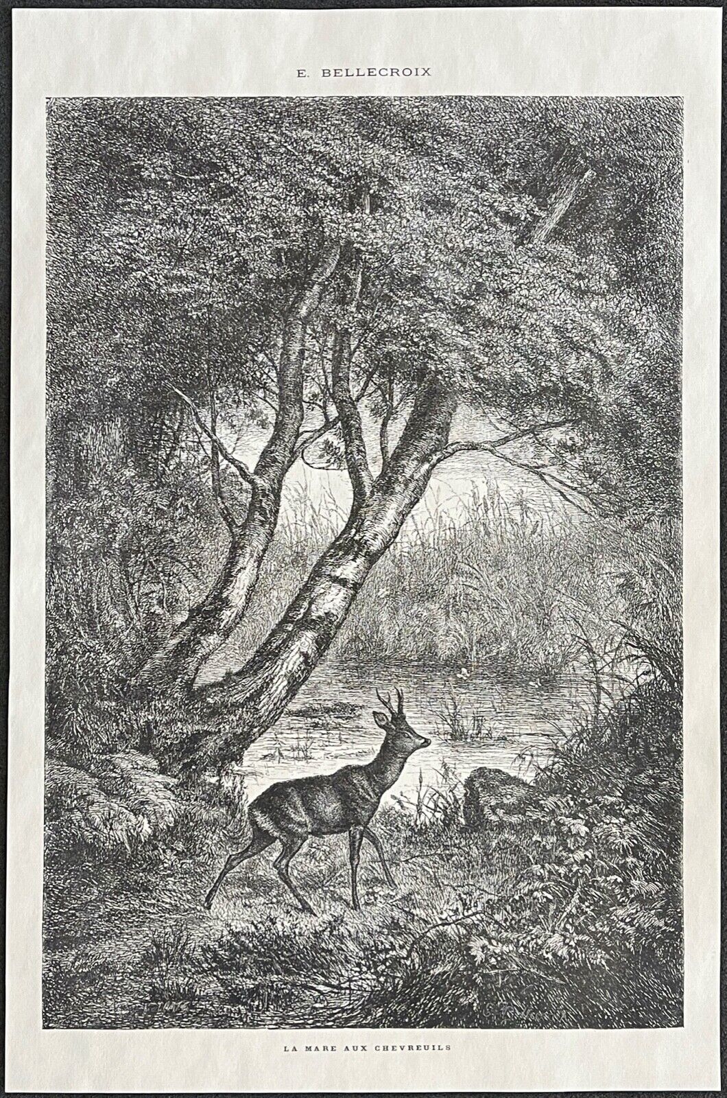 la_mare_aux_chevreuils_e__bellecroix_estampe_xylographie_c_1885