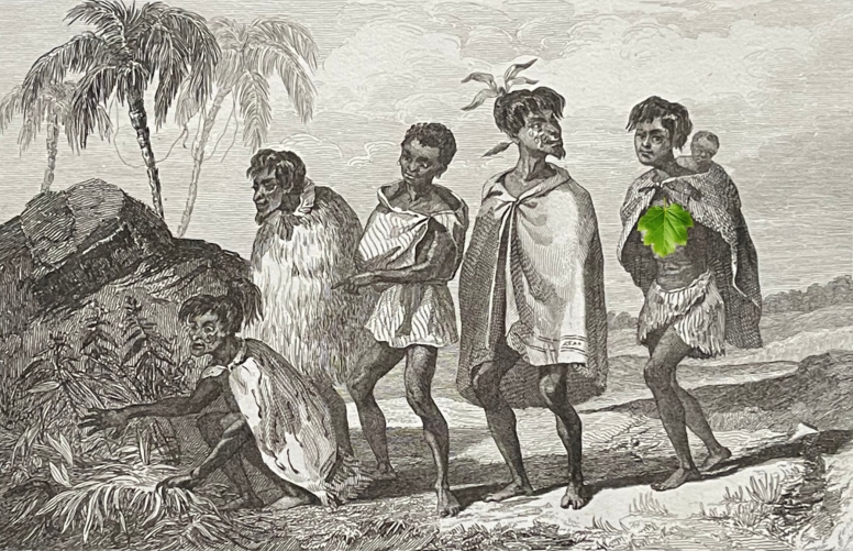 nouvelle-zelande_oceanie_costumes_des_habitants_gravure_vers_1830_par_rocca