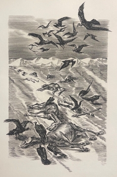 napoleon_bonaparte_tous_morts_discours_1799_gravure_1954_decaris_cheval_chevaux