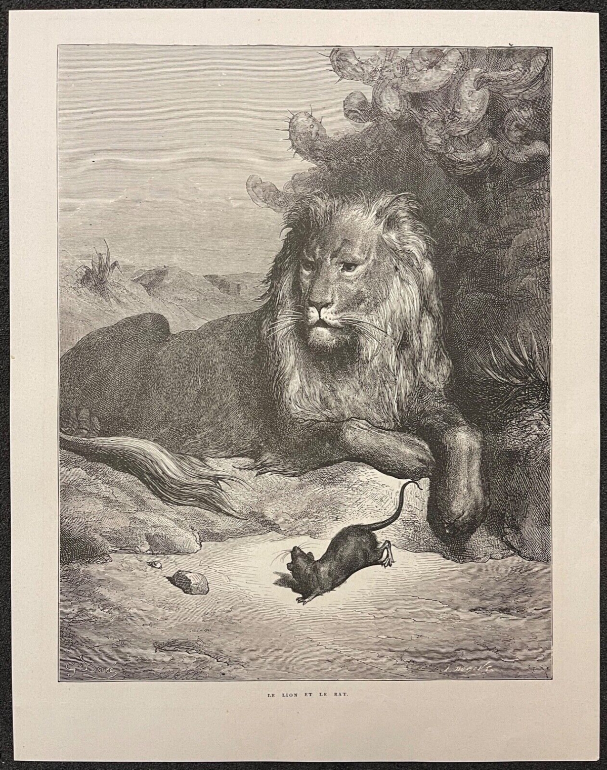 le_lion_et_le_rat_gustave_dore_xylographie_fable_de_la_fontaine_1868