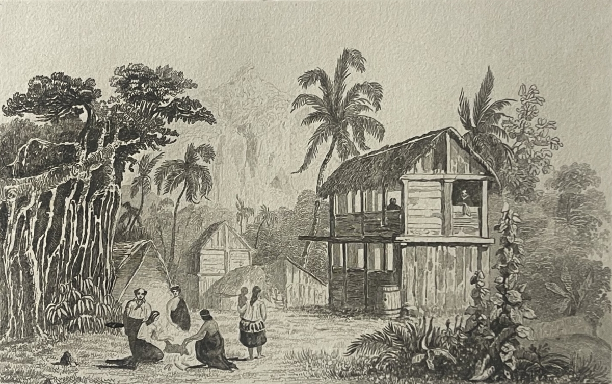 pitcairn_island_1838_wooden_houses_and_palm_trees_pacific_engraving