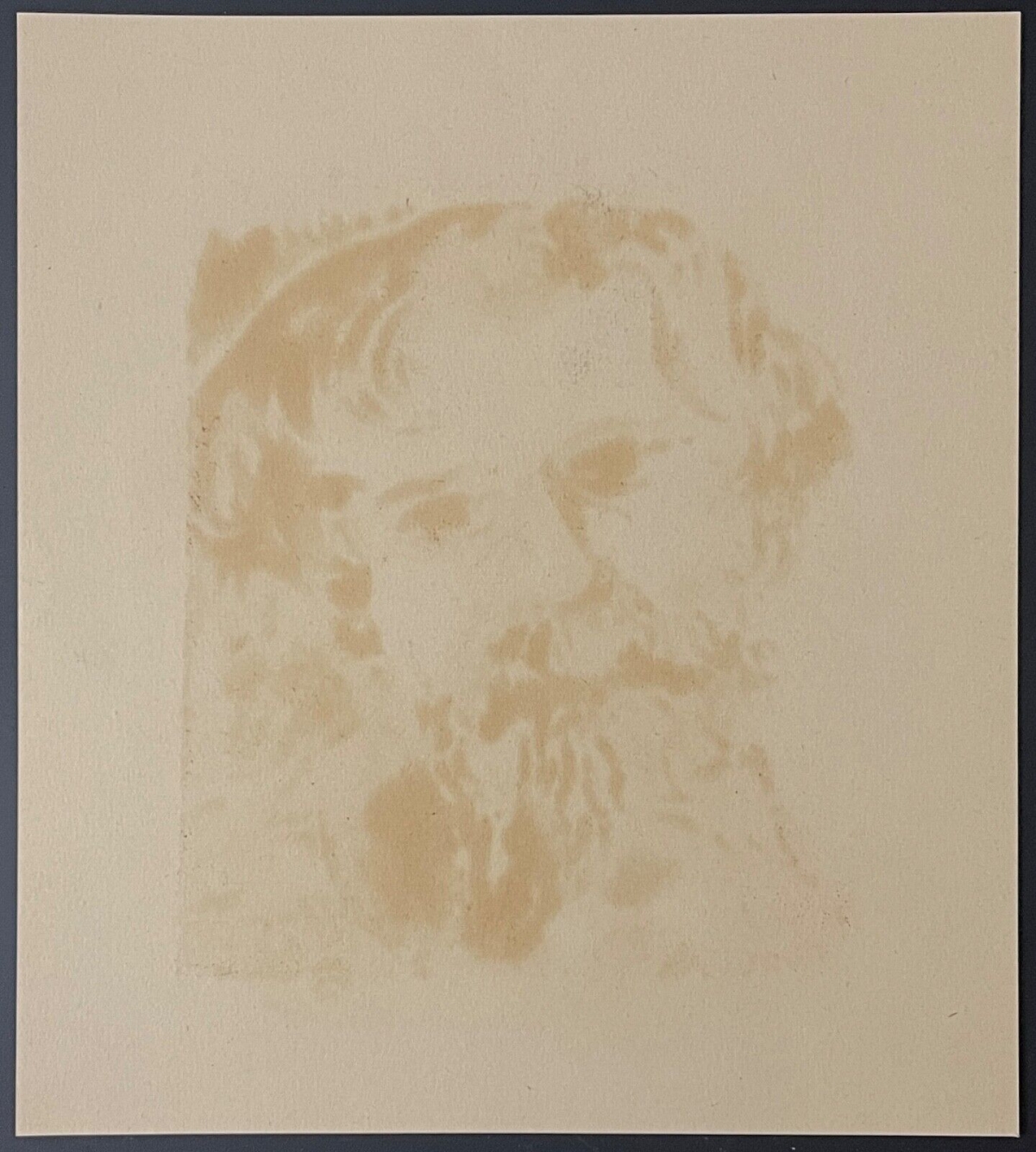 alphonse_daudet_par_raphael_arnal_provence_france_pochoir_vers_1935