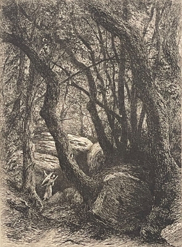 foret_sainte-baume_provence_pointe_seche_burnand_1884_france_marie_madeleine