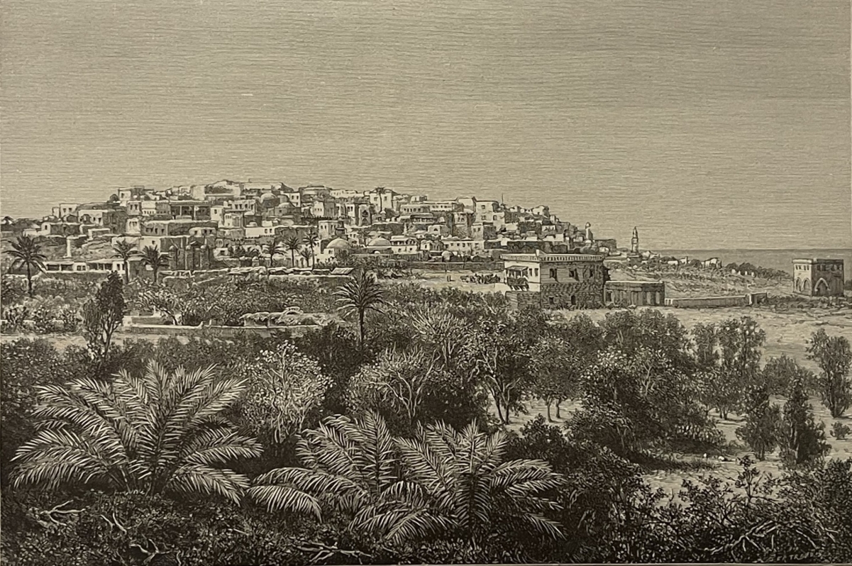 jaffa_tel_aviv_gravure_en_xylographie_vers_1880_israel_palestine