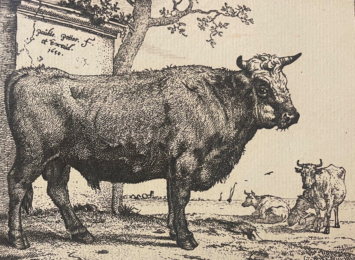 paulus_potter_1625_1654_vache_au_paturage_1650_amand_durand_xix