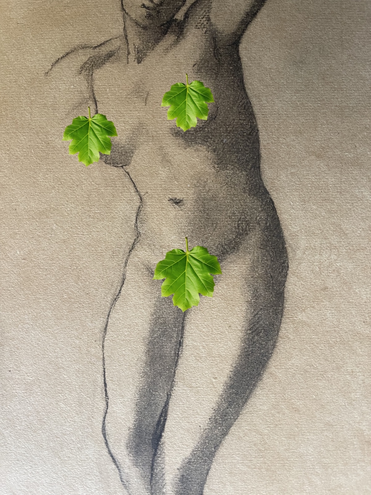 nu_feminin_xixe_anonyme_vers_1850_papier_verge_filigrane_pl_bas