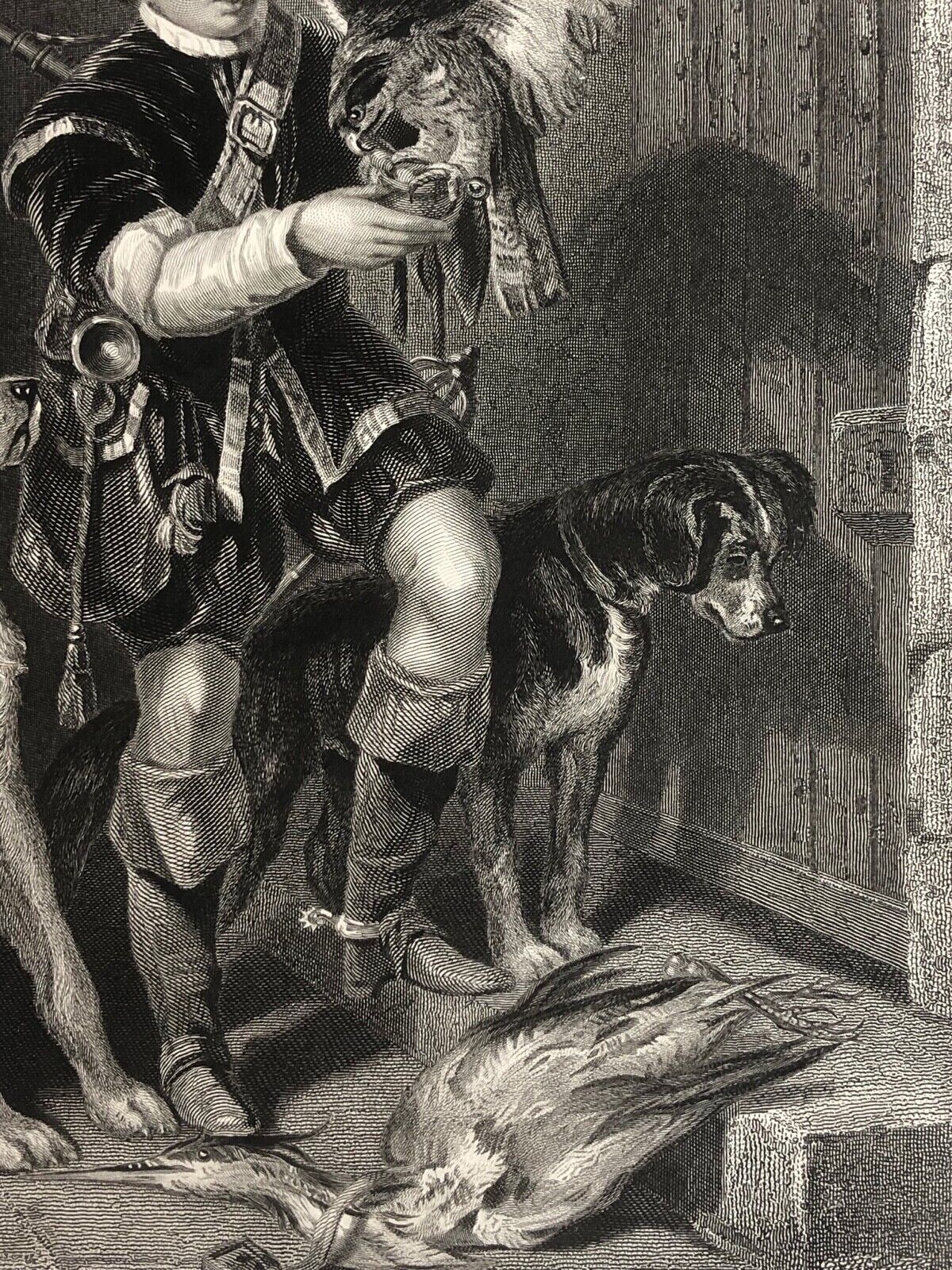 faucon_john_frederick_tayler_1802-1889_le_jeune_fauconnier_grave_sharpe_1863