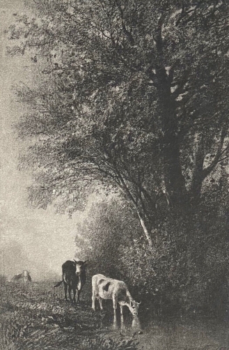 ecole_de_barbizon_pantotypie_thiel_aine_dun_fusain_smith_collection_17_1877