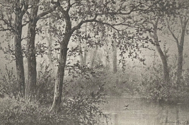 ecole_de_barbizon_pantotypie_thiel_aine_dun_fusain_smith_collection_12_1877