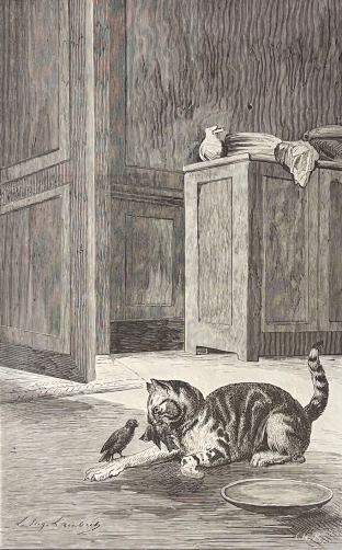 le_chat_et_les_deux_oiseaux_gravure_en_xylographie_c_1870_fable_de_la_fontaine