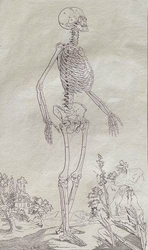 grand_squelette_en_paysage_1759_apres_tarsis_et_jardinier_osteologie_anatomie