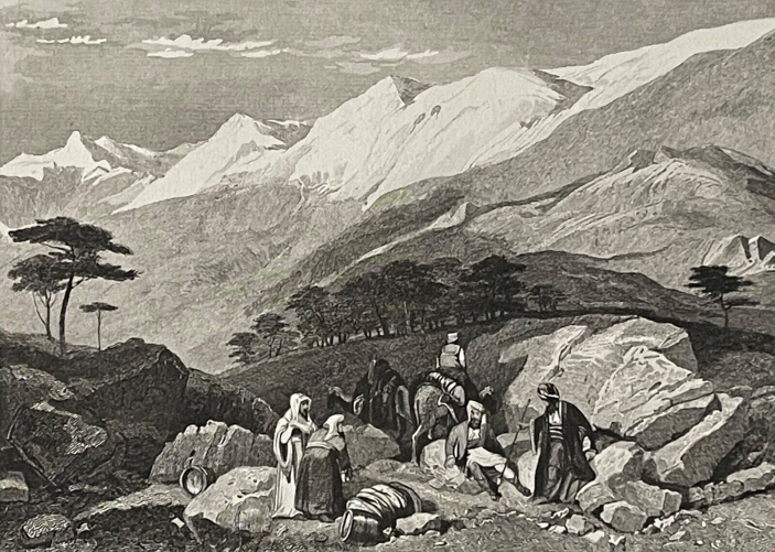 liban_mont-liban_et_cedres_gravure_de_ransonnette_vers_1840