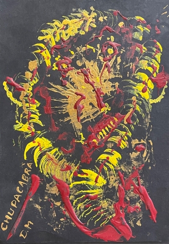 art_vaudou_bresil_chupacabra_peinture_acrylique_monogramme_d_m_art_brut