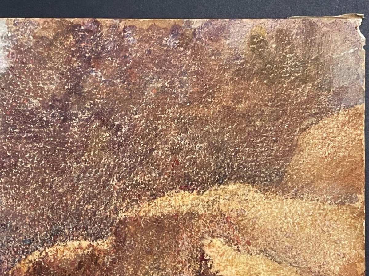 la_gardienne_de_cochons_surprenante_aquarelle_xixe_signee_impressionniste_france