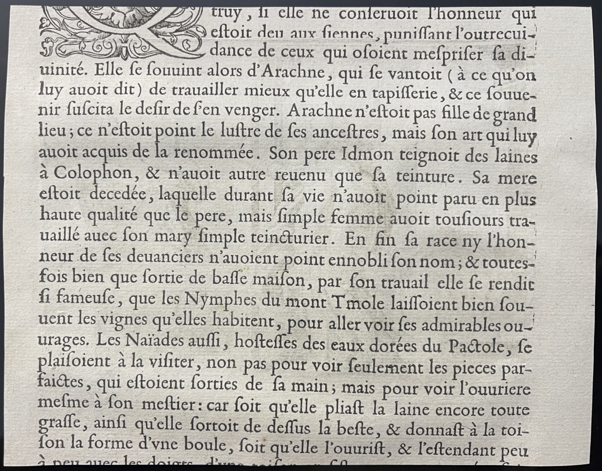 minerve_transforme_arachne_en_araignee_briot_isaac_1585-1670_tirage_1619_xvii