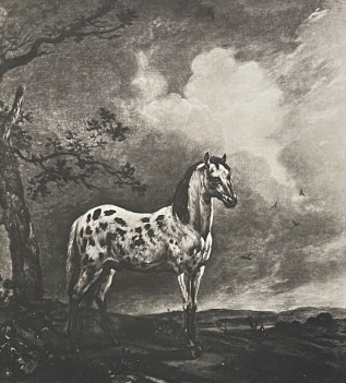paulus_potter_1625-1654_le_cheval_pie_heliogravure_vers_1910