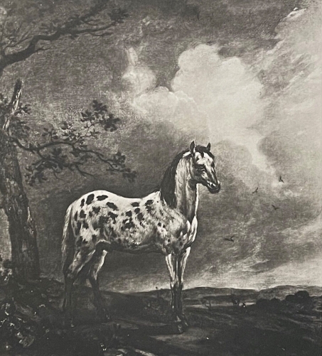 paulus_potter_1625-1654_le_cheval_pie_heliogravure_vers_1910