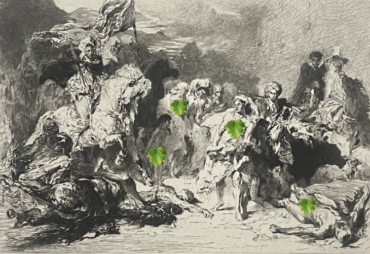 algerie_la_razzia_dapres_guillaumet_gravure_de_muller_1888_afrique