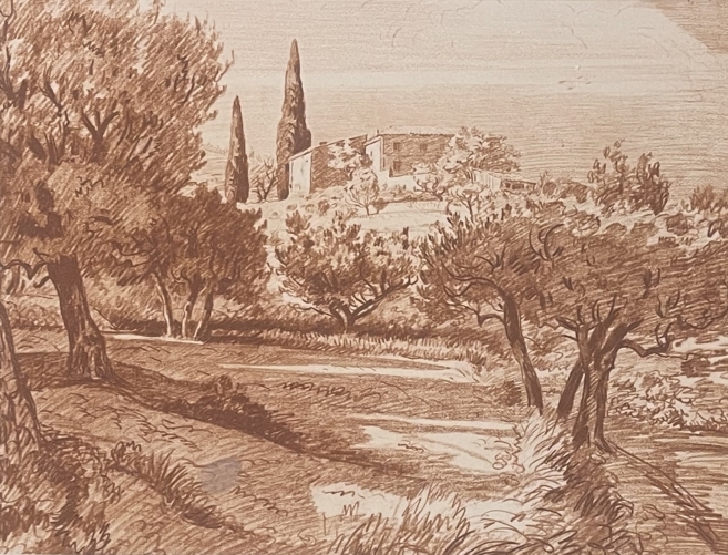 champ_oliviers_en_provence_vers_1942_france_olivier_olive_huile_gravure