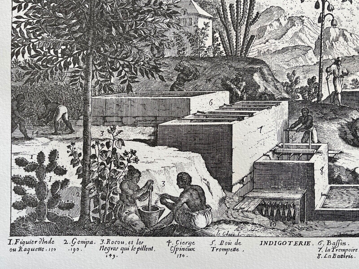 esclave_afrique_commerce_triangulaire_antilles_1667_indigo_retirage_vers_1930