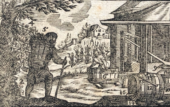 vigneron_vin_raisin_vigne_groll_michal_1722-1798_polska_vignette1770_varsovie