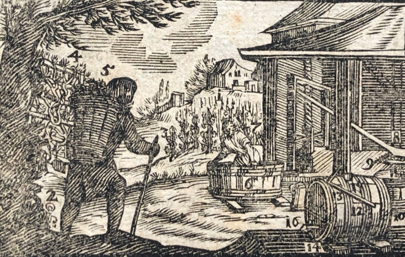 vigneron_vin_raisin_vigne_groll_michal_1722-1798_polska_vignette1770_varsovie