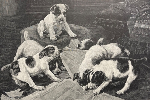 chien_differend_concernant_le_journal_1880_par_fannie_moody_1861-1948_chiot