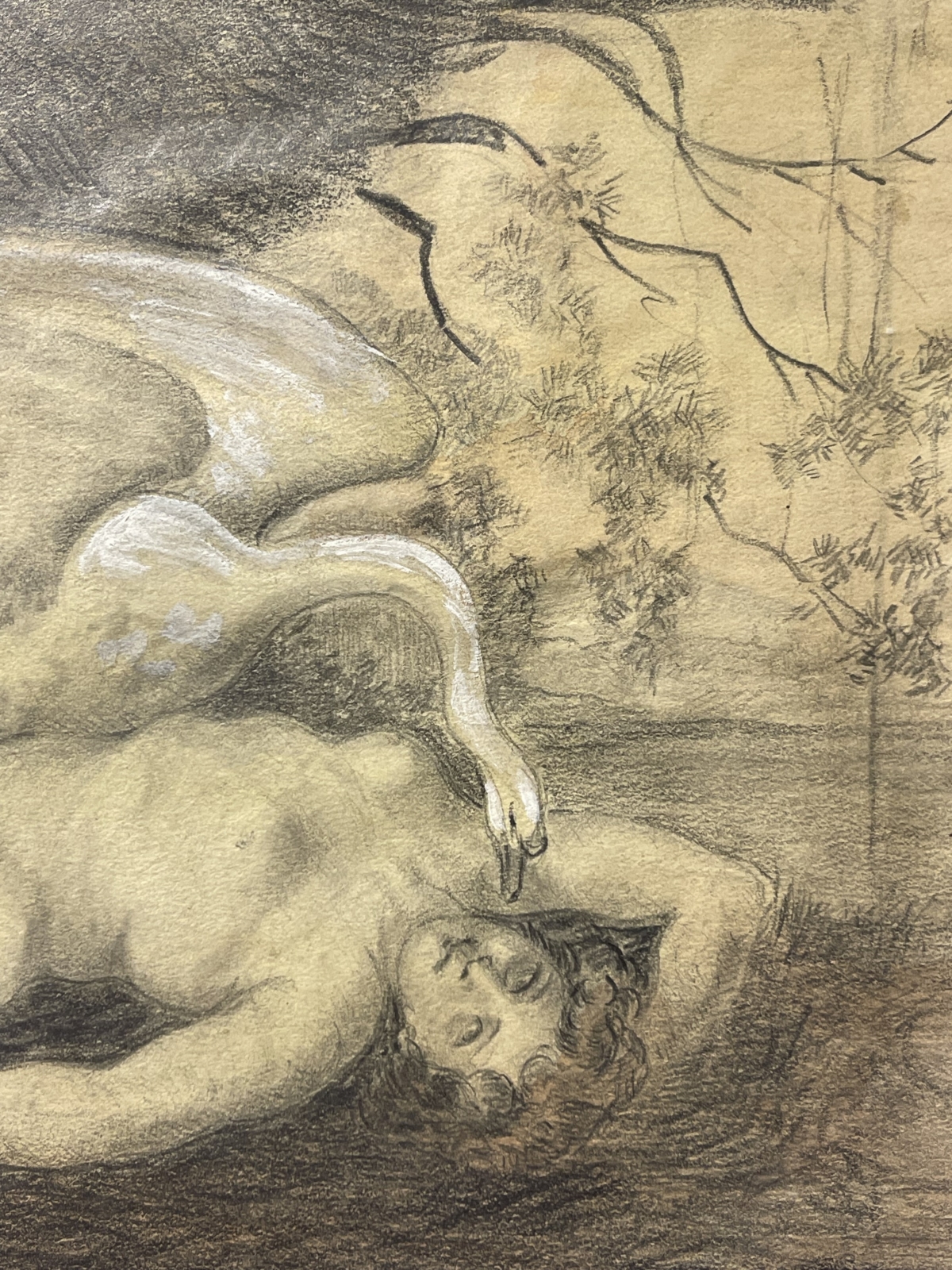 zeus_et_leda_technique_mixte_graphite_et_gouache_xixe_anonyme