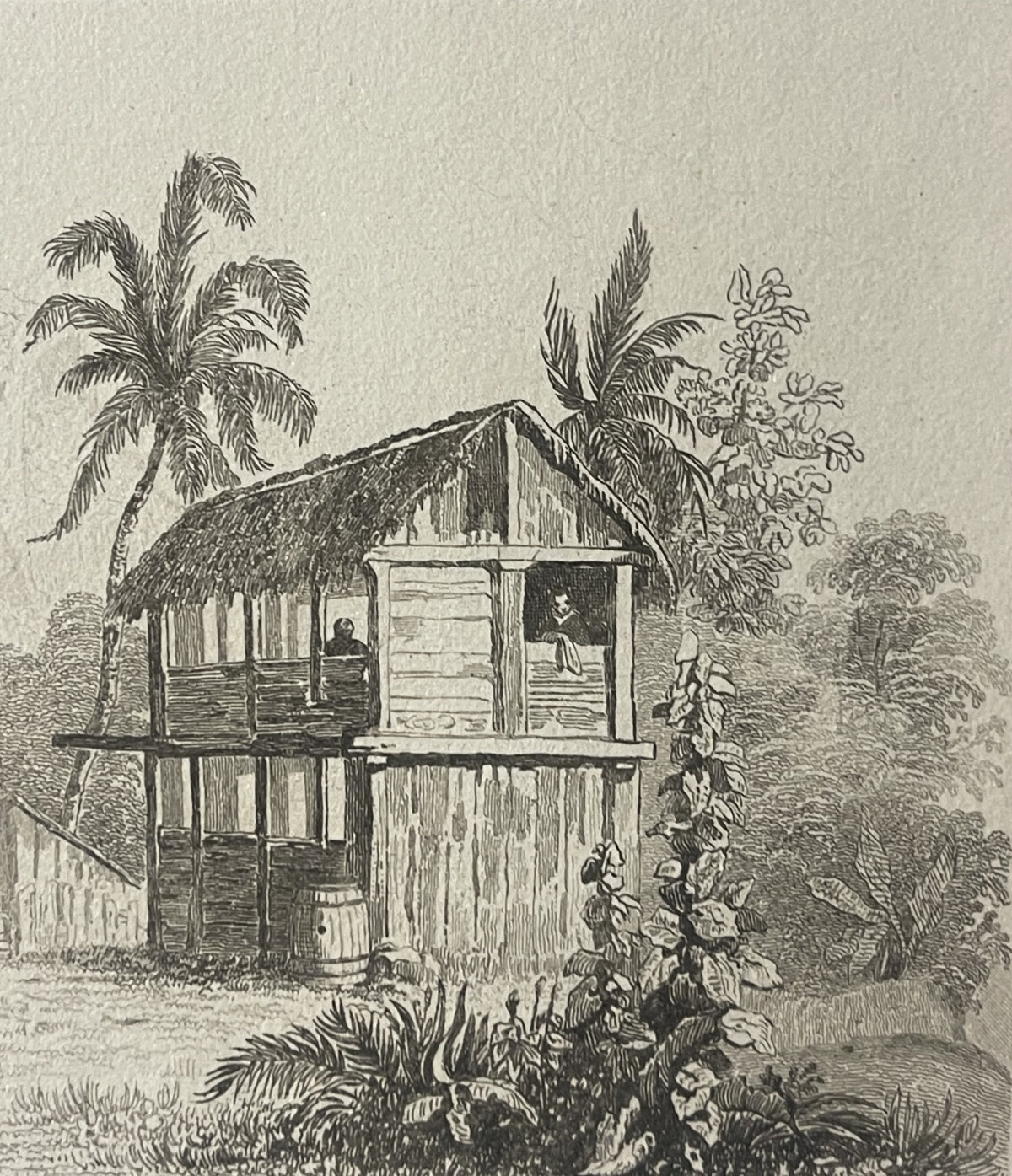 pitcairn_island_1838_wooden_houses_and_palm_trees_pacific_engraving