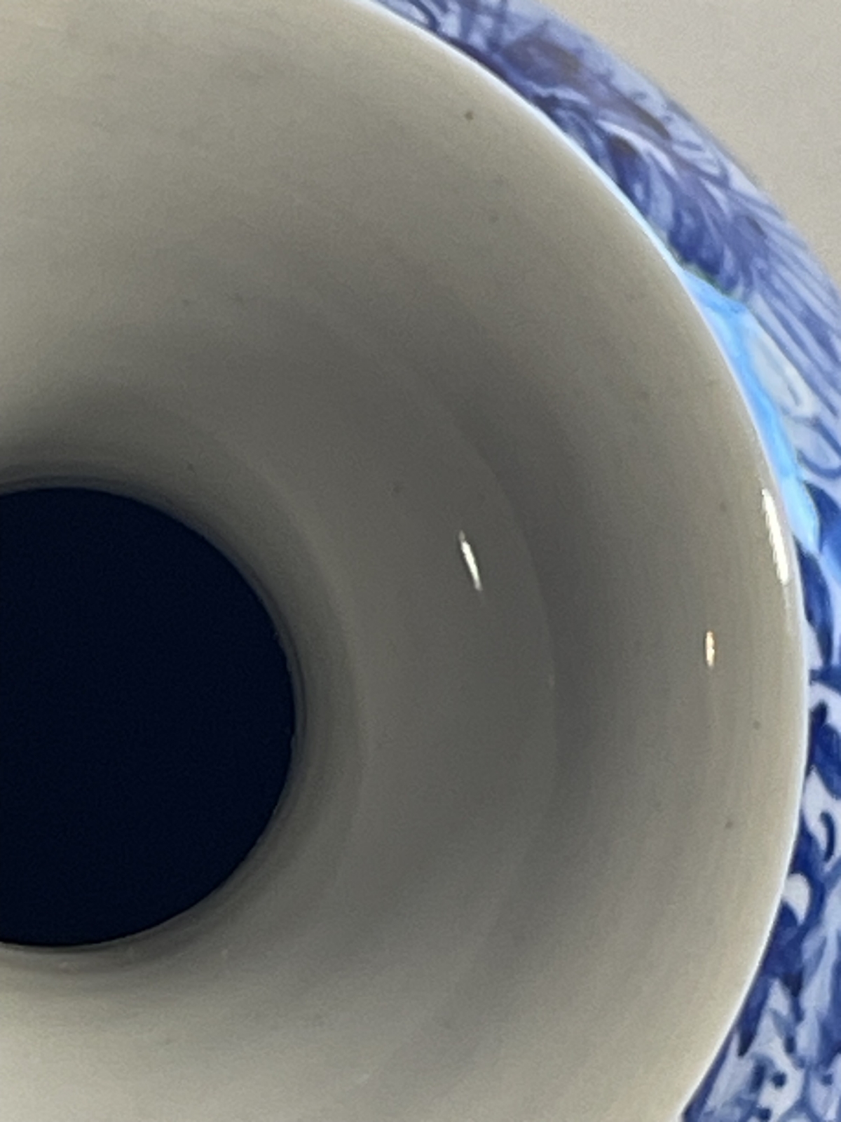 blue_and_white_porcelain_vase_chinese_19th_century_china_chine