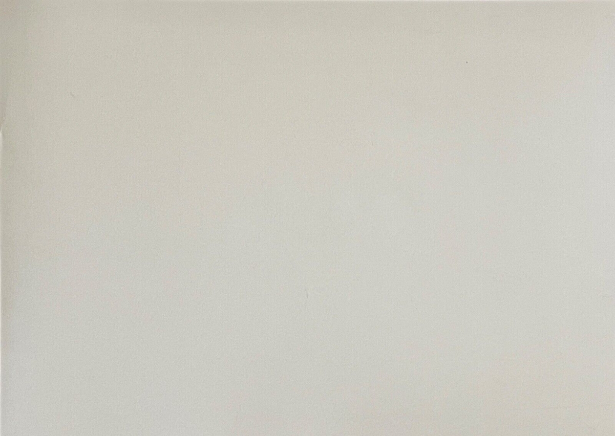 art_brut_poster_serigraphie_de_alain_dufour_2022__canada_