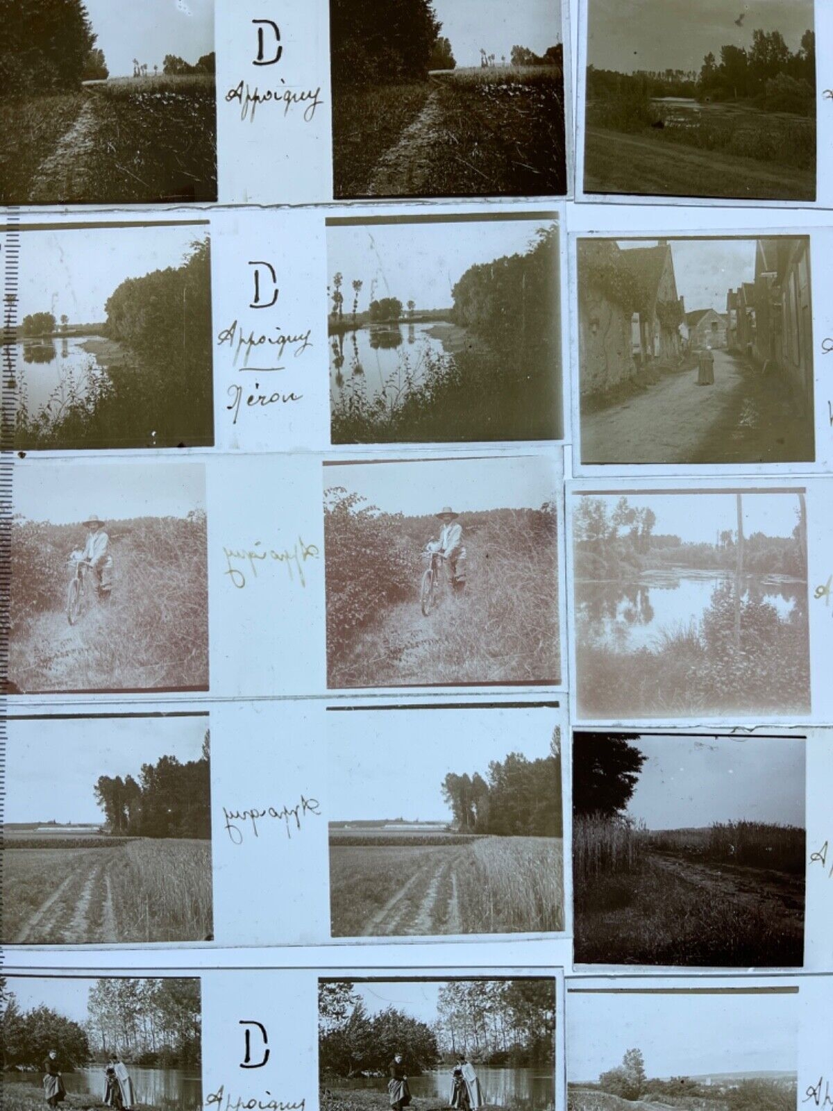 appoigny_23_plaques_photo_stereo_positives_xixe_debut_xxe_yonne_france