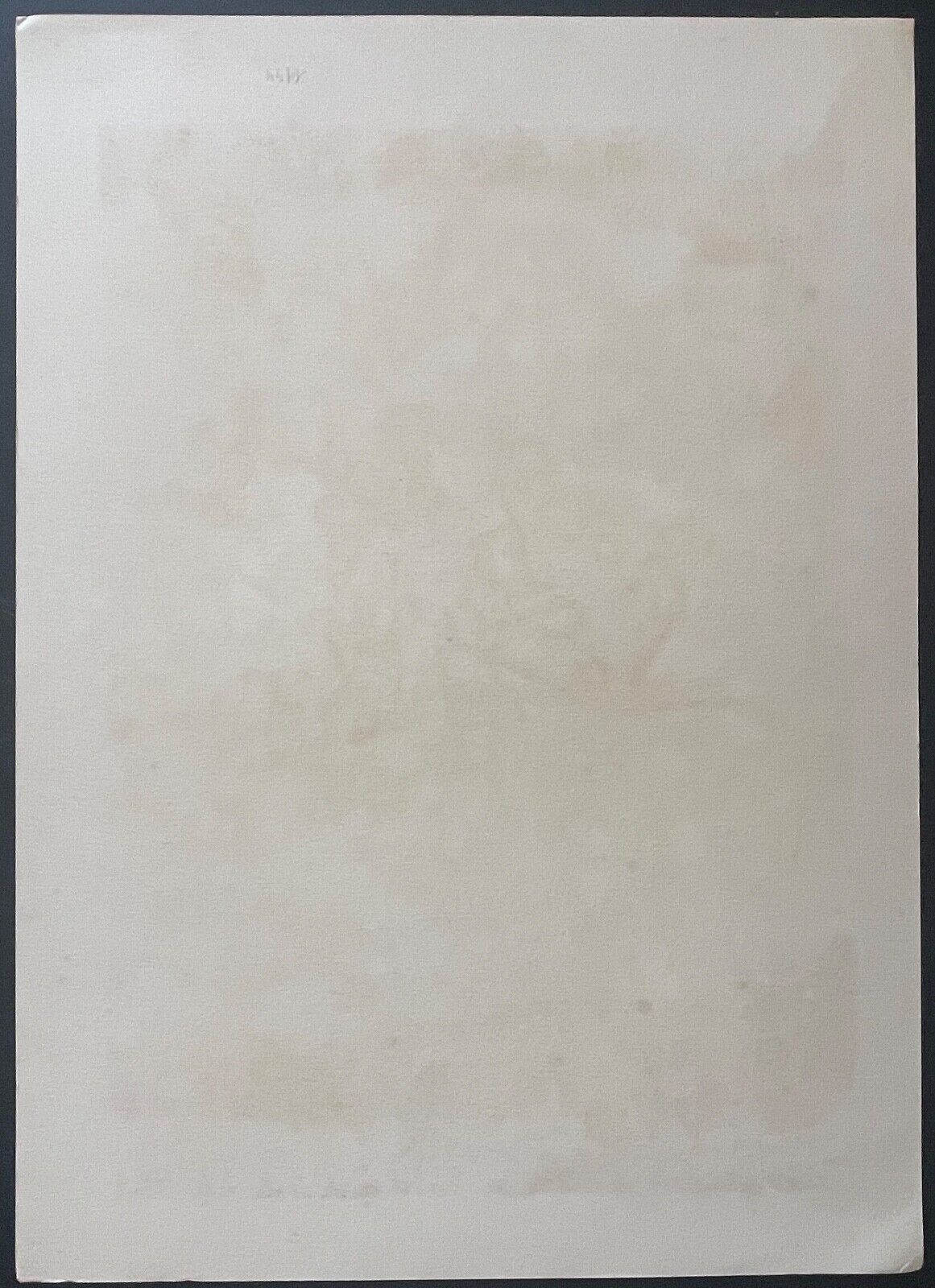 maurice_georges_poncelet_lithographie_1953_arenes_de_toulouse_matador