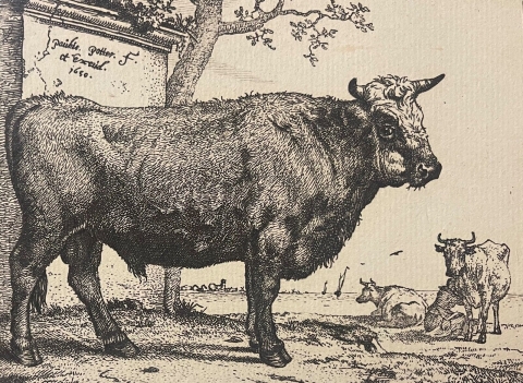 paulus_potter_1625_1654_vache_au_paturage_1650_amand_durand_xix