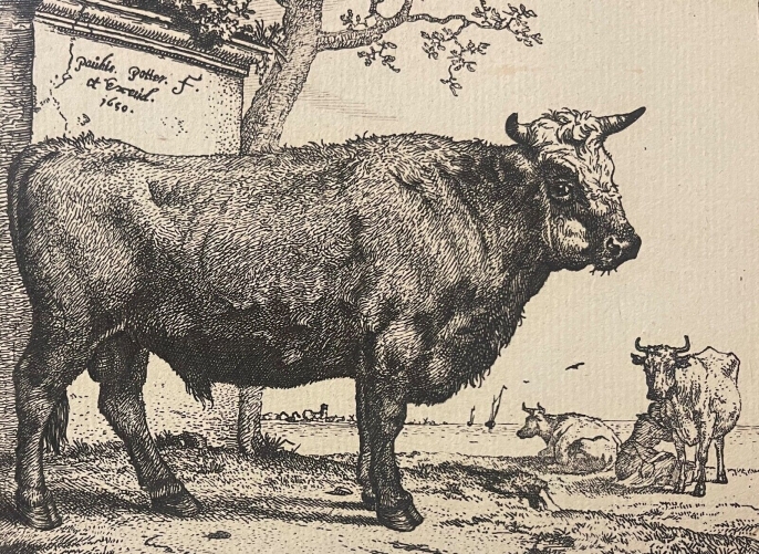 paulus_potter_1625_1654_vache_au_paturage_1650_amand_durand_xix