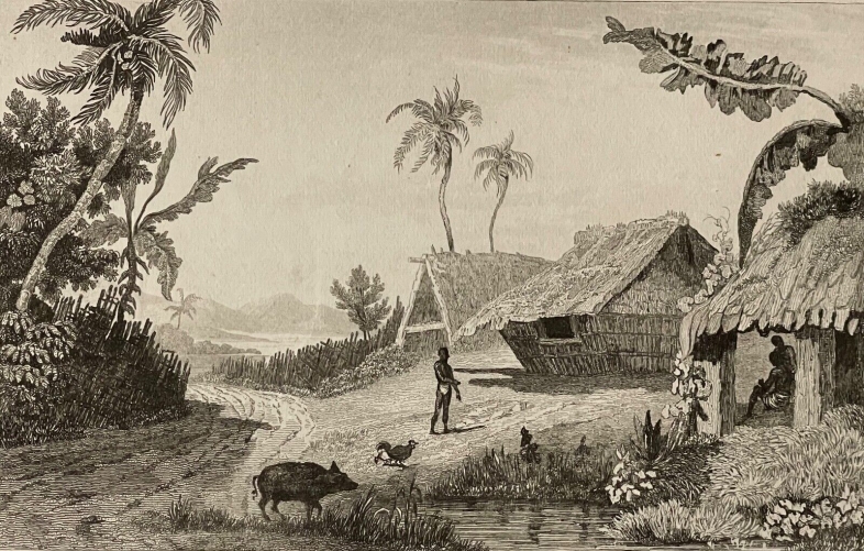 iles_tonga_ile_nomuka_otu_muʻomuʻa_oceanie_pacifique_sud_gravure_c_1830