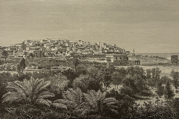 jaffa_tel_aviv_gravure_en_xylographie_vers_1880_israel_palestine