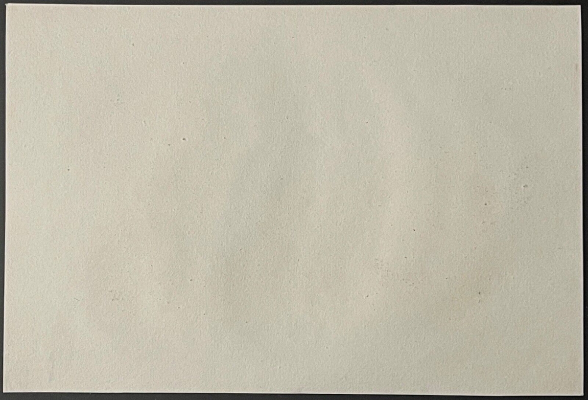 napoleon_bonaparte_blesse_au_pied_devant_ratisbonne_1809_allemagne_regensburg