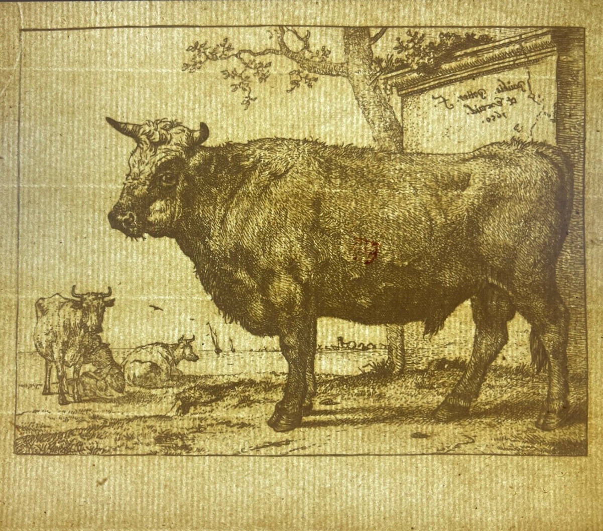 paulus_potter_1625_1654_vache_au_paturage_1650_amand_durand_xix