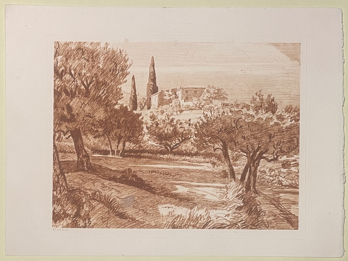 champ_oliviers_en_provence_vers_1942_france_olivier_olive_huile_gravure