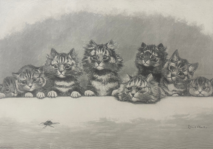 chats_hypnotise_estampe_en_xylographie_dapres_l_wain_vers_1880_chat