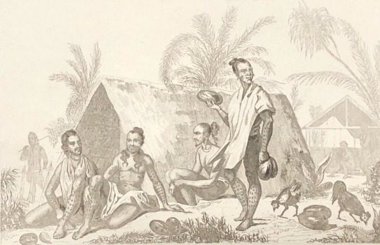 habitations_des_iles_carolines_micronesia_palaos_1836_xix_oceanie