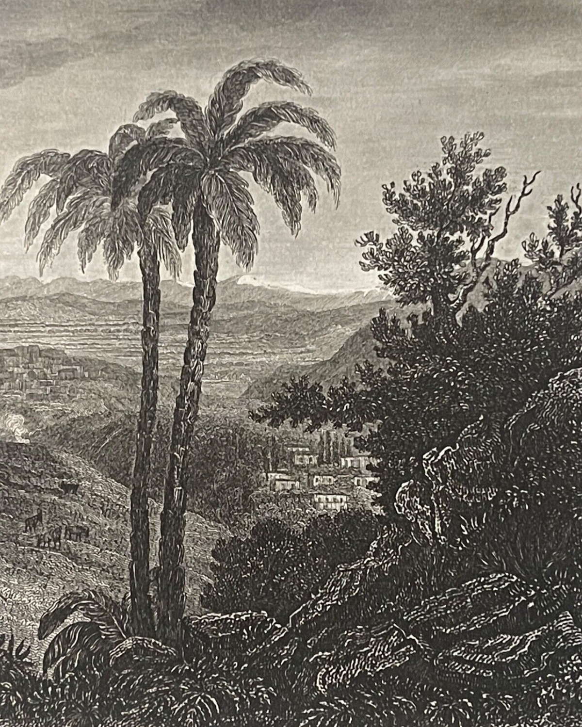lattaquie_syrie_laodiciee_gravee_par_ransonnette_1745-1810_gravure_de_1837