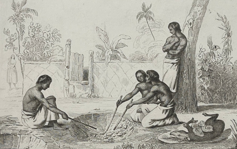 four_en_terre_iles_tonga_oceanie_gravure_de_1837_cuisson_cuisine_polynesie