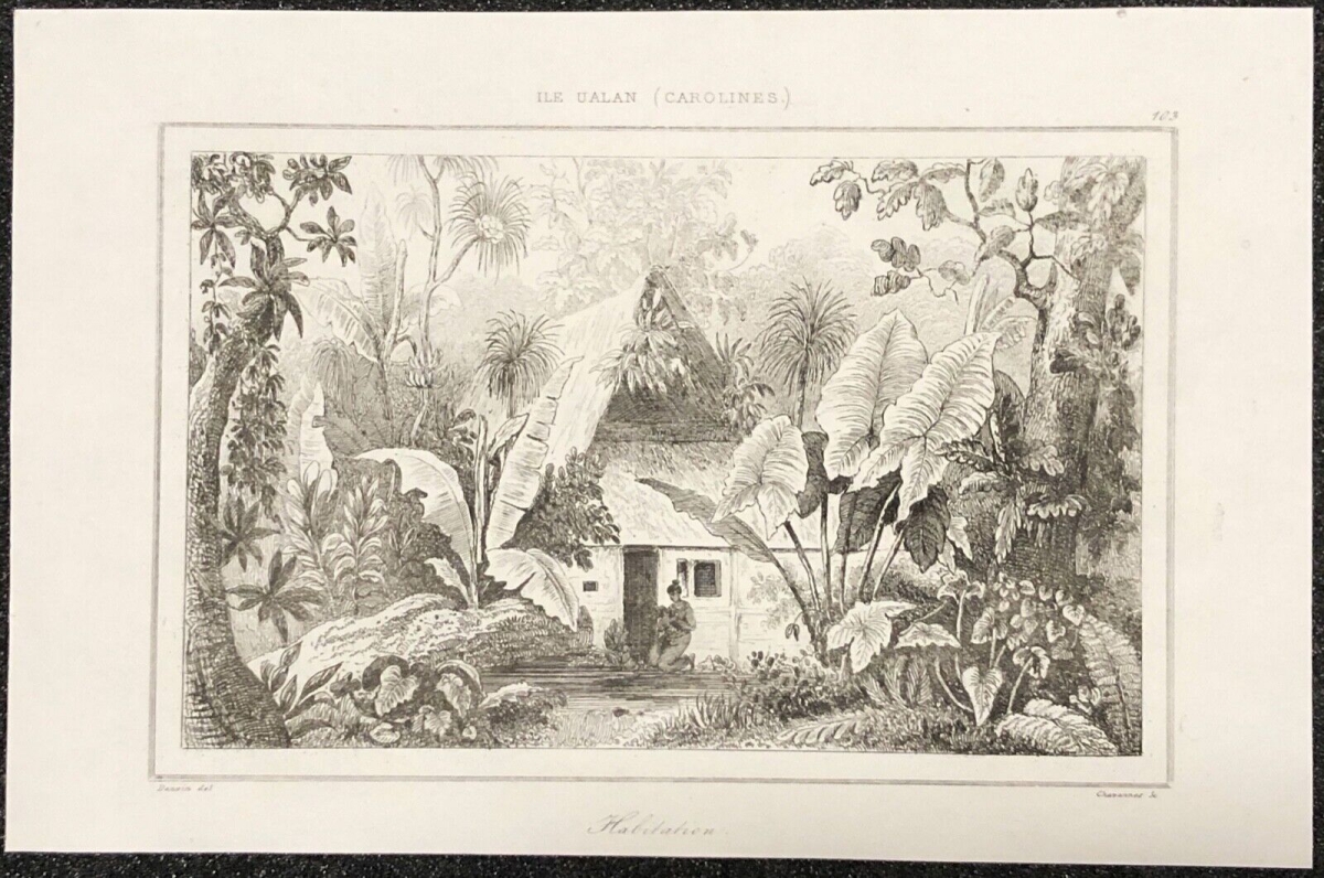 vue_de_lile_ualan_carolines_micronesia_palaos_1836_xix_oceanie