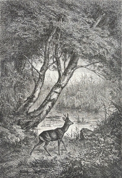 la_mare_aux_chevreuils_e__bellecroix_estampe_xylographie_c_1885