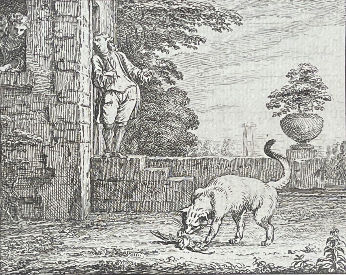 le_chat_et_la_chauves-souris_claude_gillot_1673-1722_gravure_de_1719_france