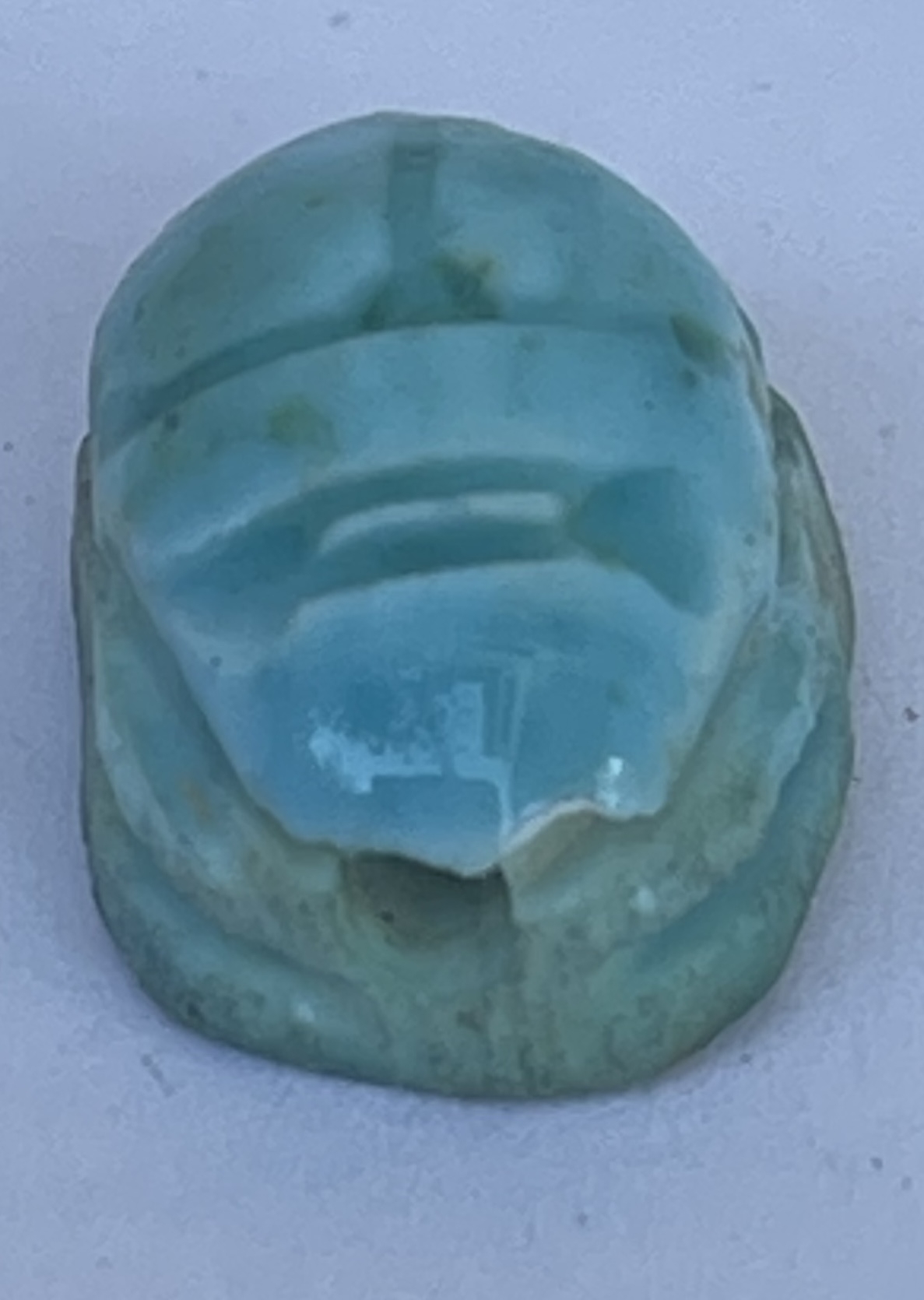 scarabee_perle_symbole_dans_legypte_antique_embleme_protecteur_pour_les_vivants