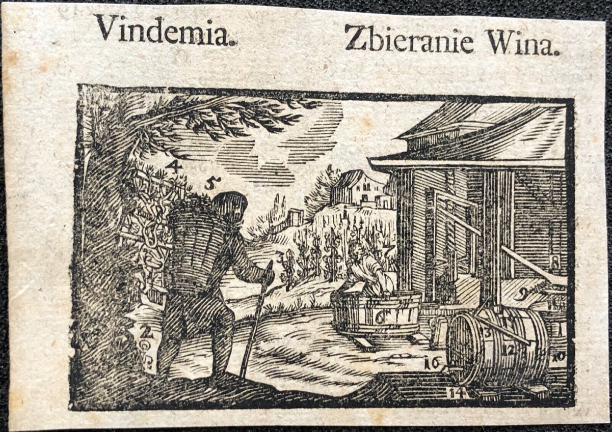 vigneron_vin_raisin_vigne_groll_michal_1722-1798_polska_vignette1770_varsovie